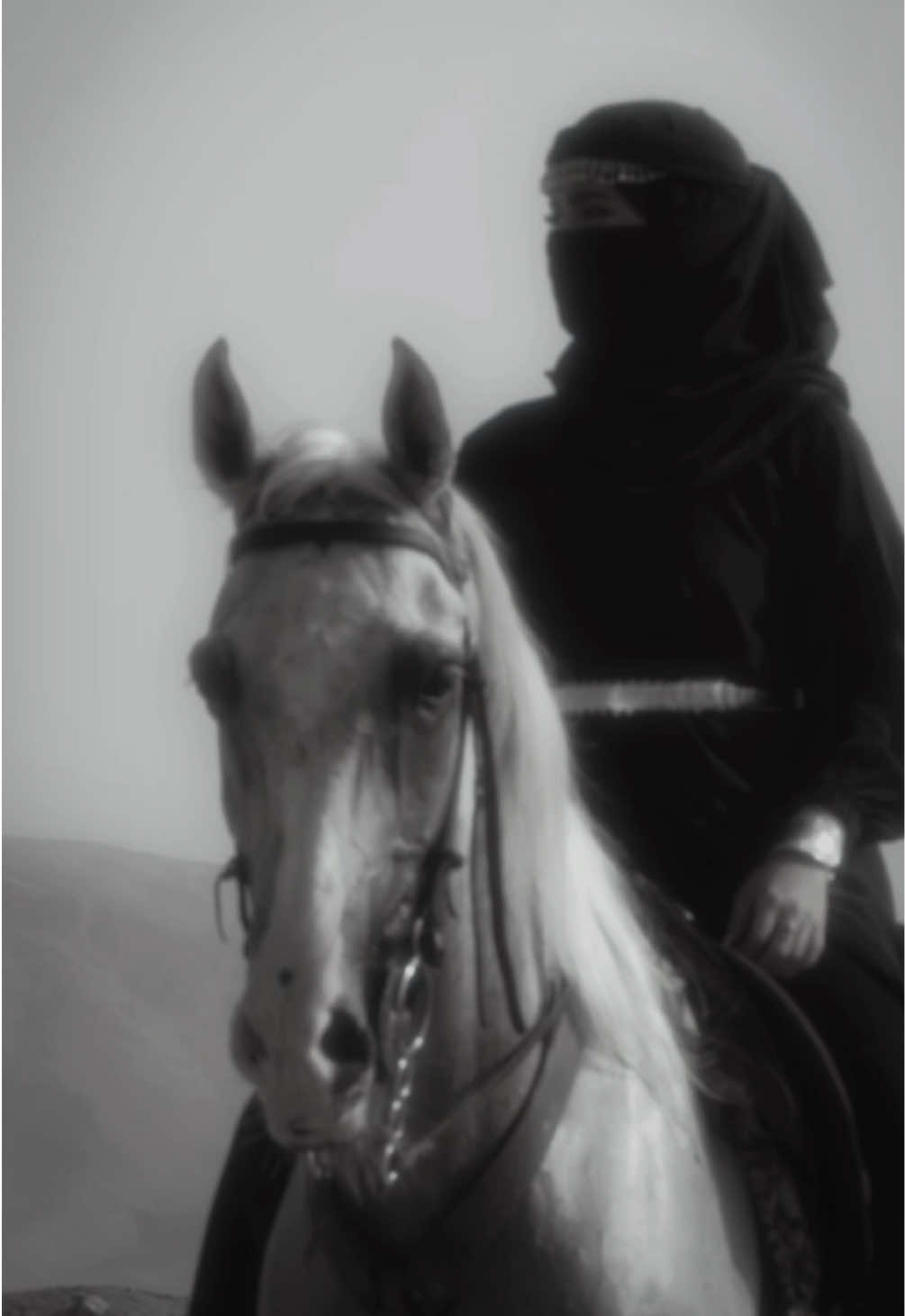 @ميكاسَا العَرب 🌟