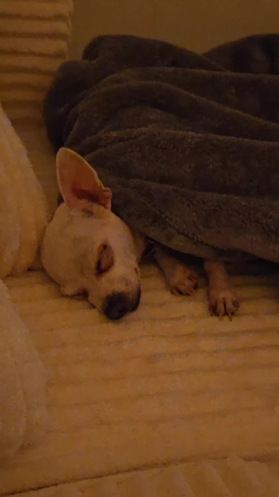 @Muffie 🇮🇹