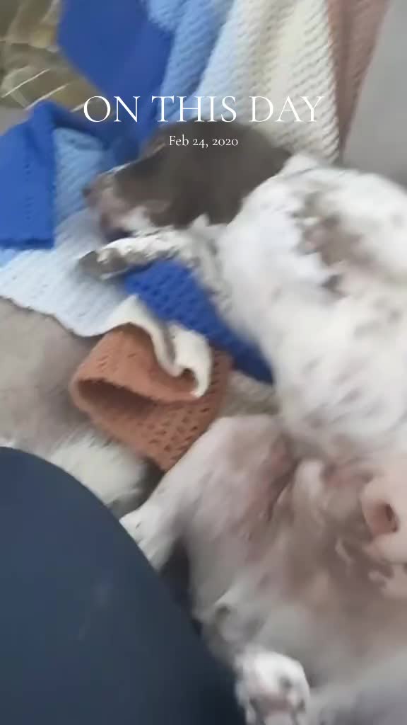 @Gizmo_in_boots