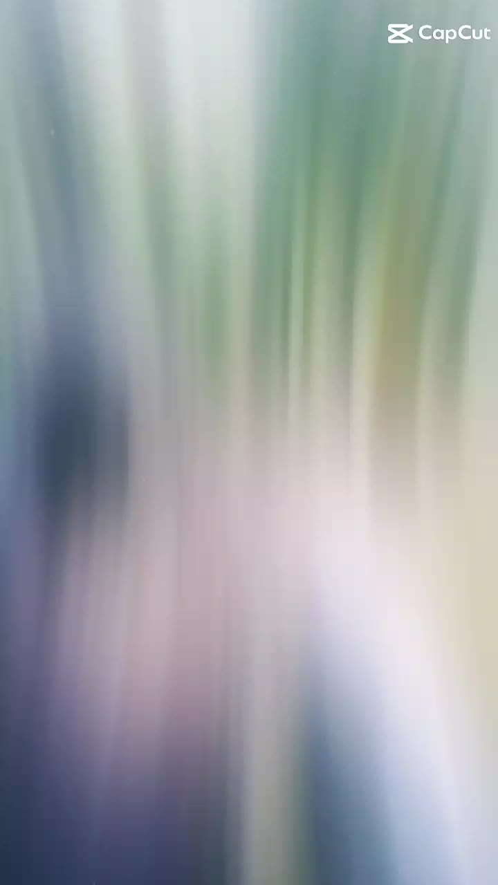 @๐๐๏ธ๐ฅLGSR๐ฅ๐๏ธ๐