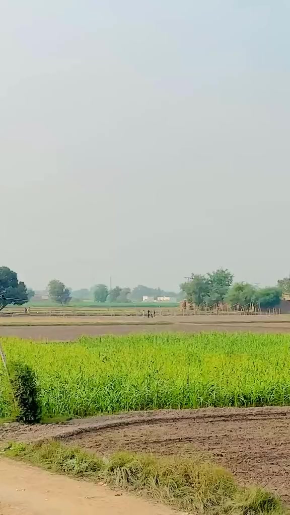 @Zidi Arslan