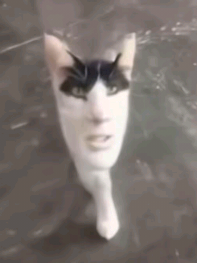 @Herzz Suka Roblox😹