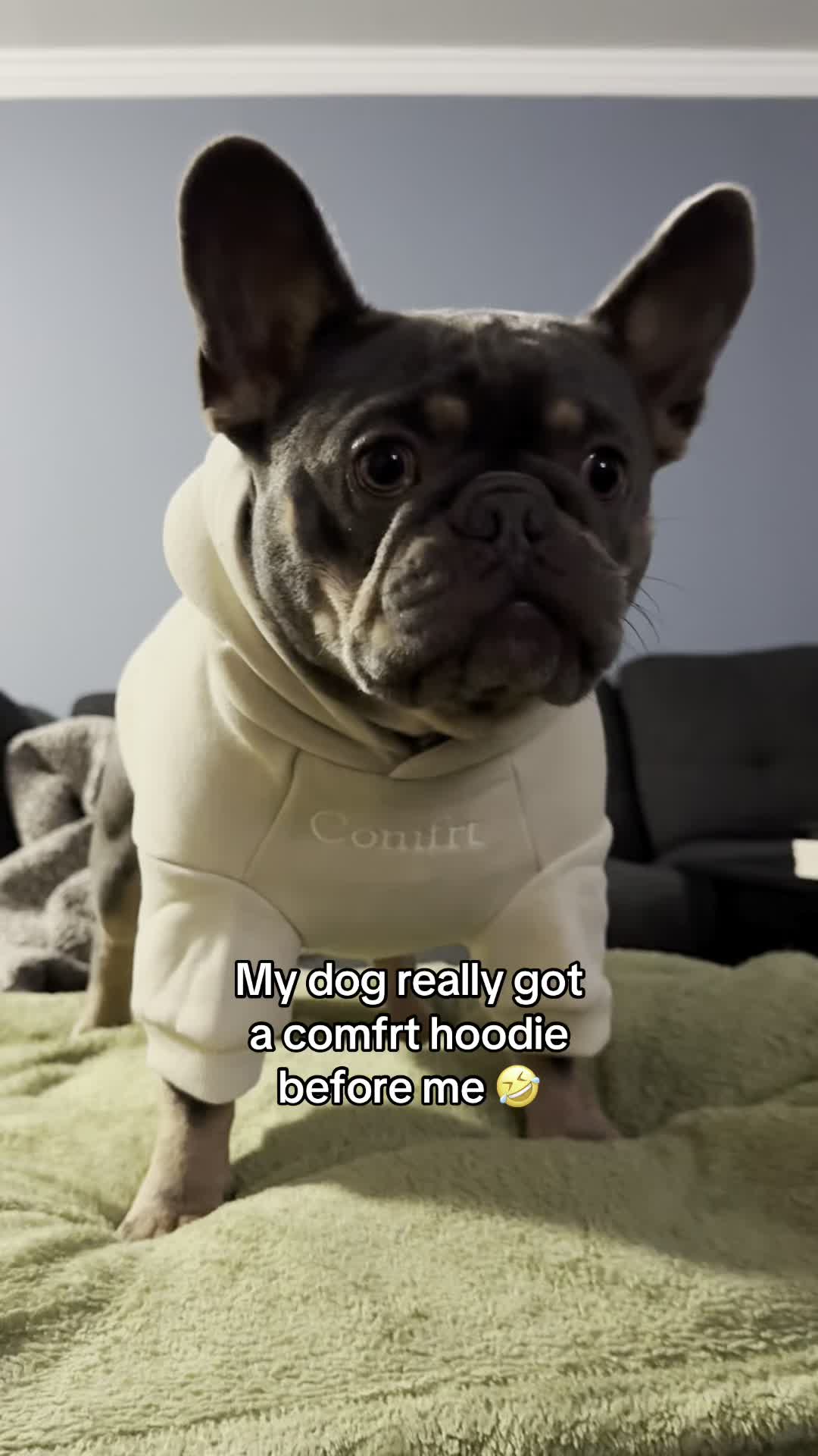 @LivinWithLevi