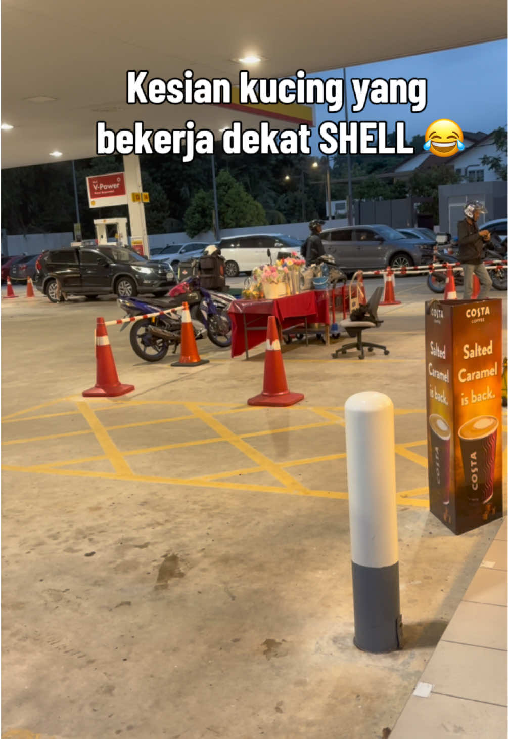 @Shanu1506
