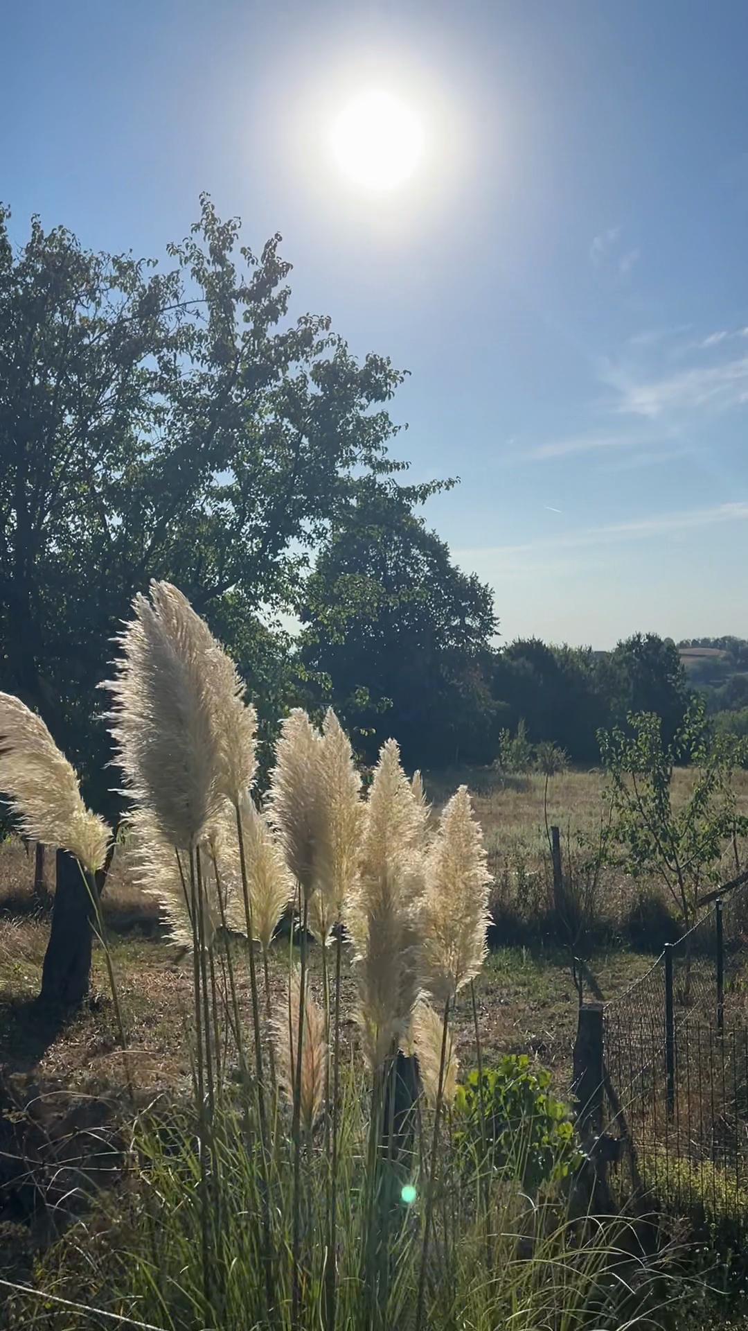 @ɪᴠᴀɴᴀ 🌼