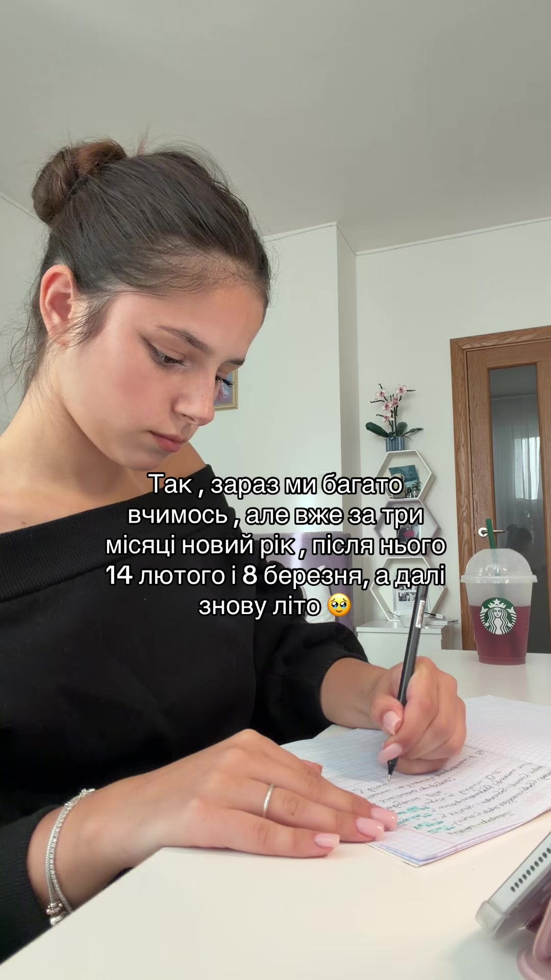@sofivizeno