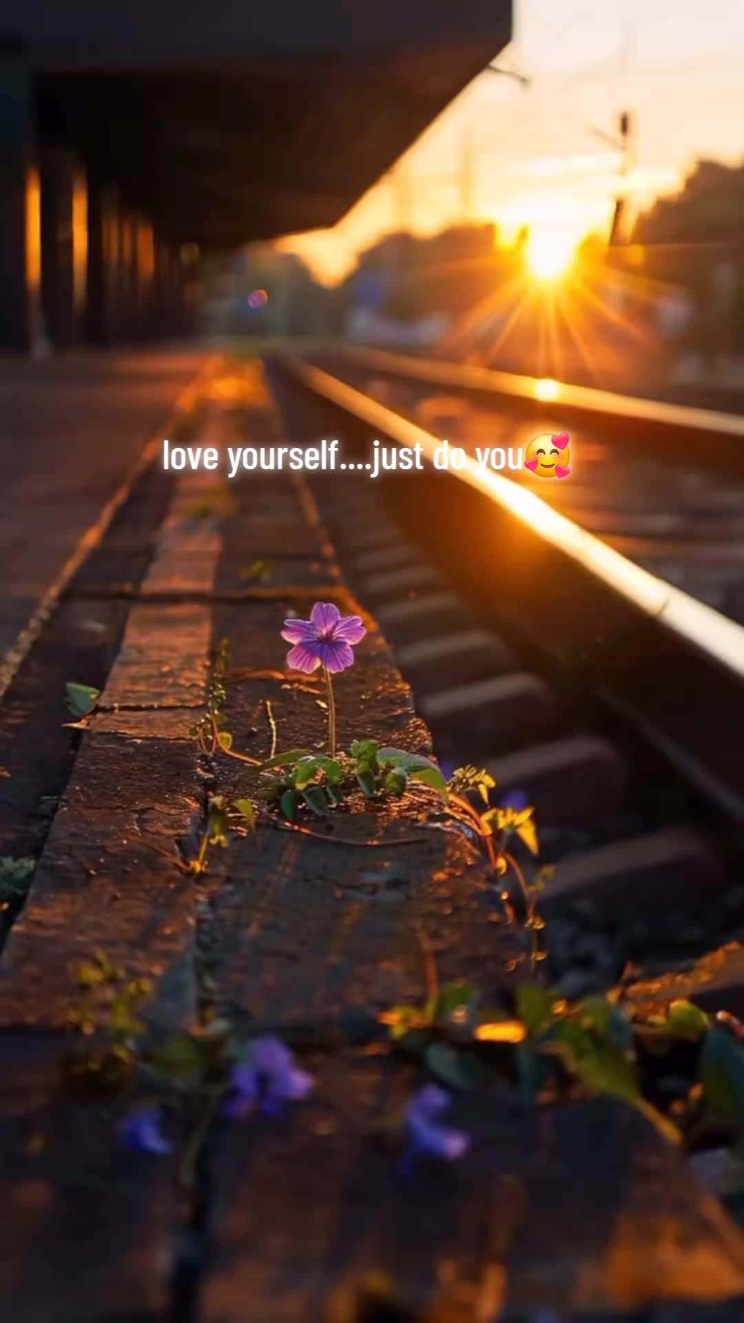 @🐝Beautiful.Bea🌸🌹