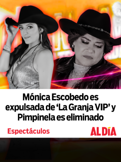 @Al D&iacute;a TV