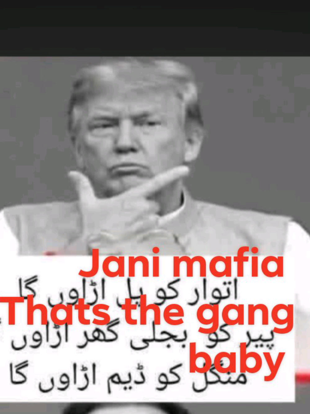 @Jani mafia gang