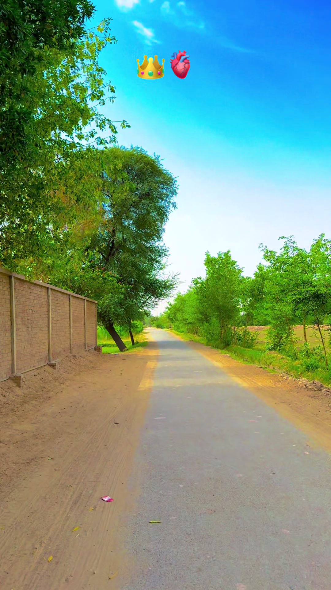@پنجابی کلچر 🌾🍂