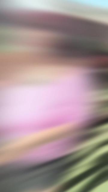 @𝑬𝒔𝒕𝒆𝒓 𝒕𝒖́ 𝒂𝒎𝒊𝒈𝒂 🌺