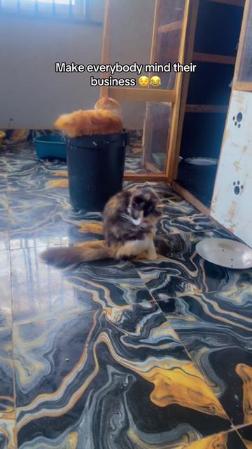 @Bella&rsquo;s Family 🐾
