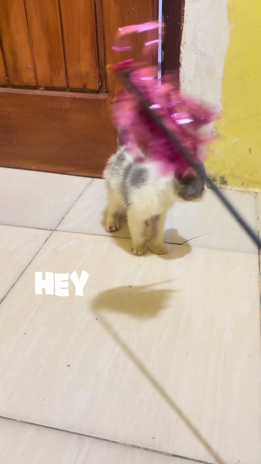 @Luskyocat