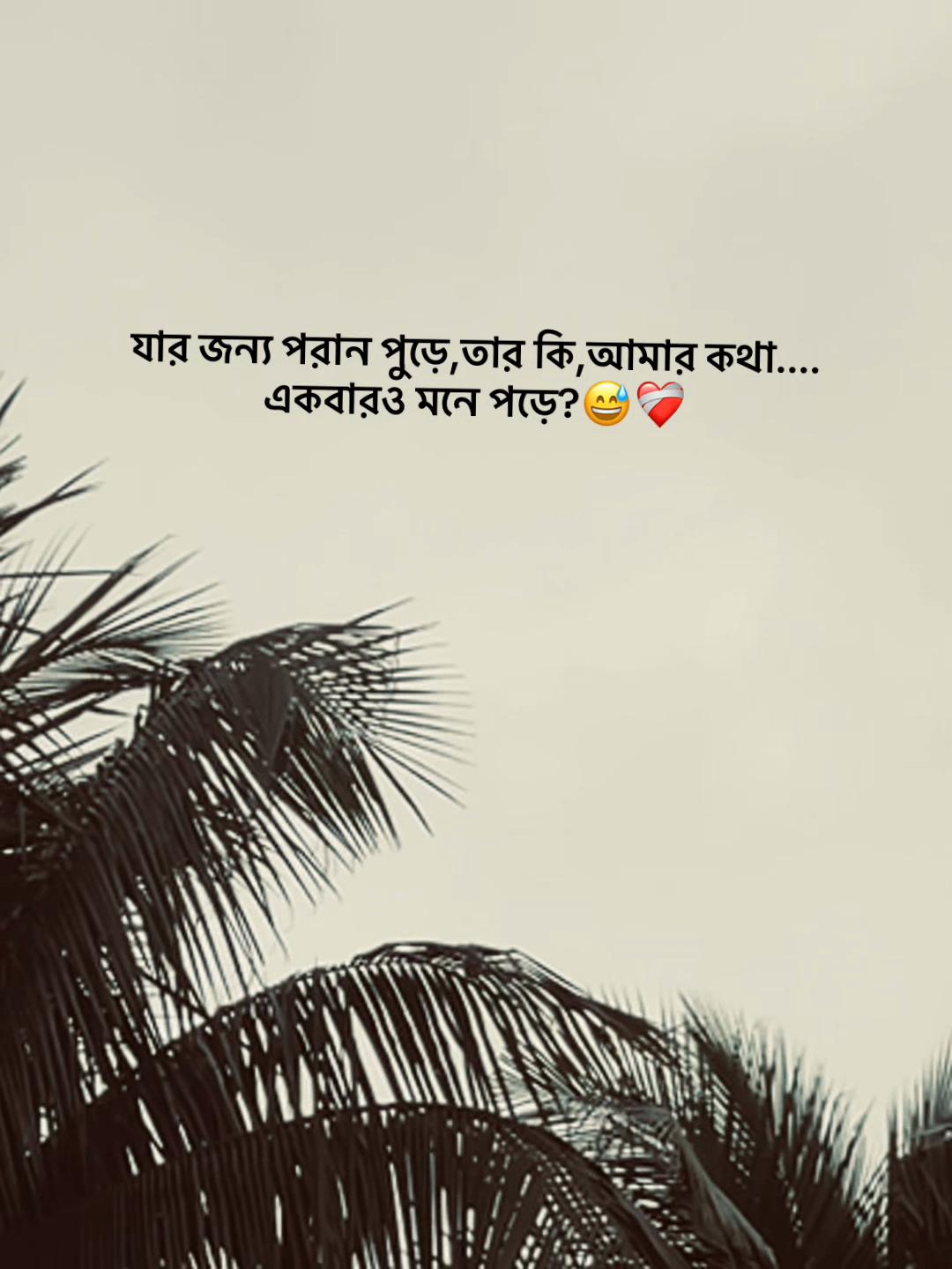 @S_A_Y_M_O_NđĨ°SAMMIHAđĨ°