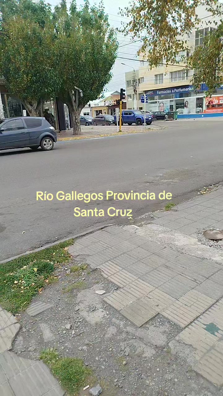 @jose pato silva