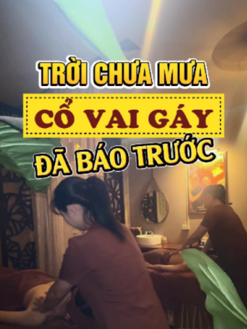 @Triều Gia Y Dưỡng