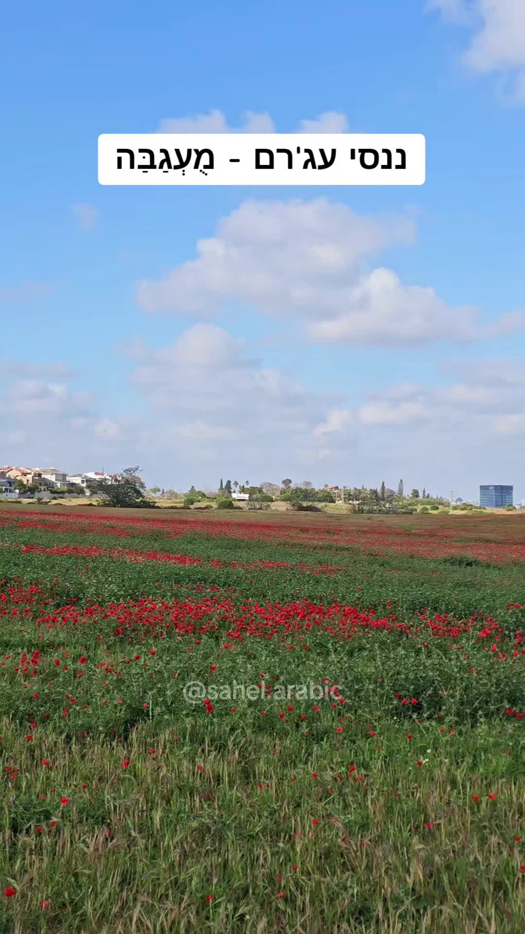 @סהל - לימוד ערבית בקלות