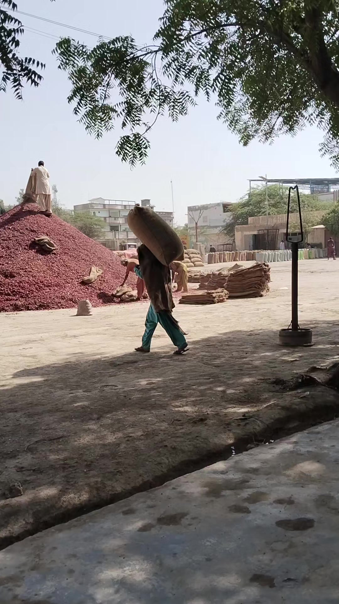 @Mukesh kumar kolhi