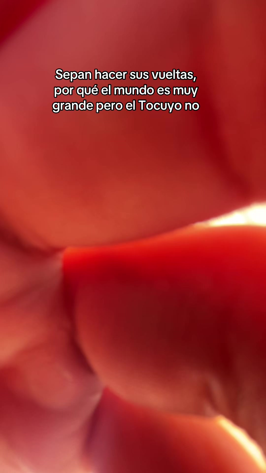 @Jefferson Sequera