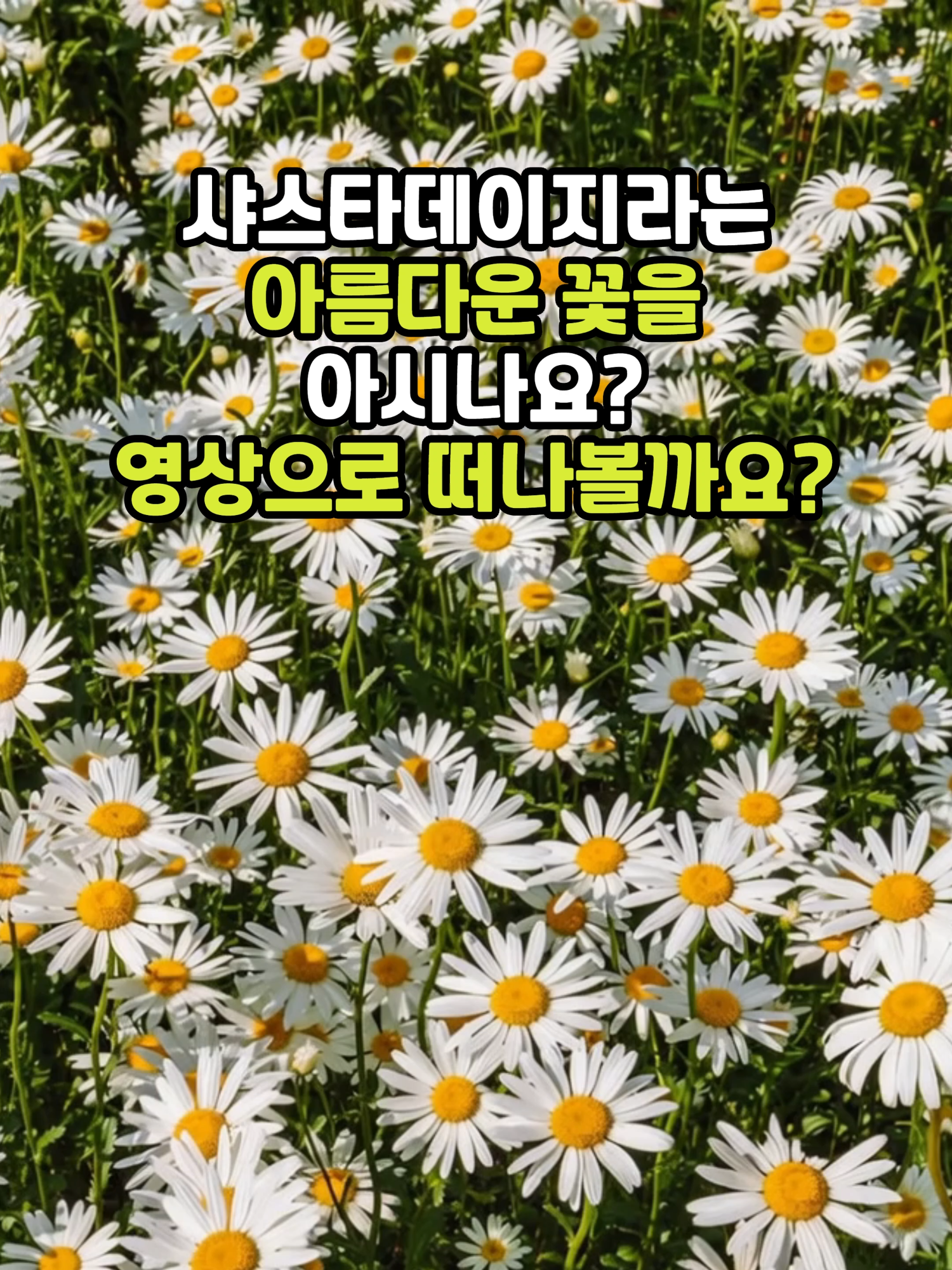 @꽃길