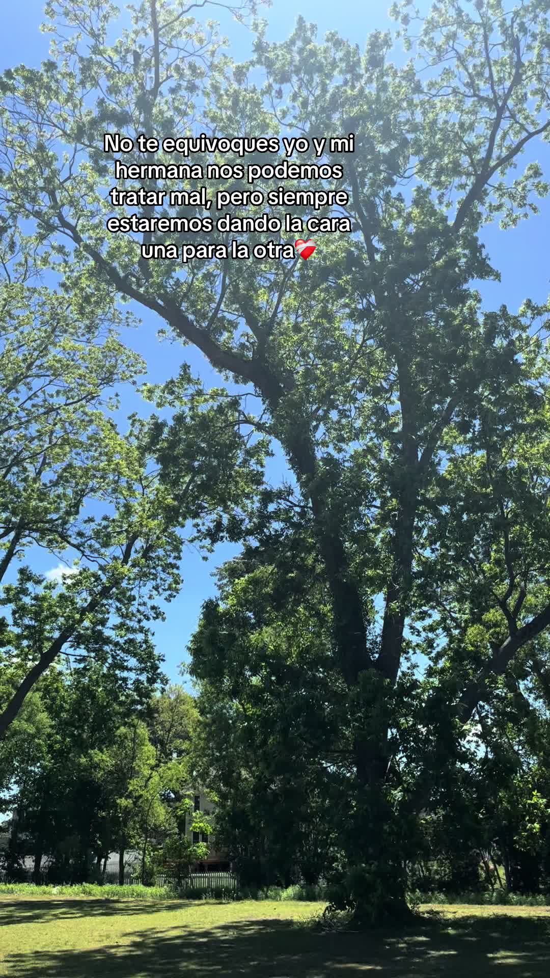 @🎀 𝓥𝓪𝓵𝓮𝓷𝓽𝓲𝓷𝓪🧸