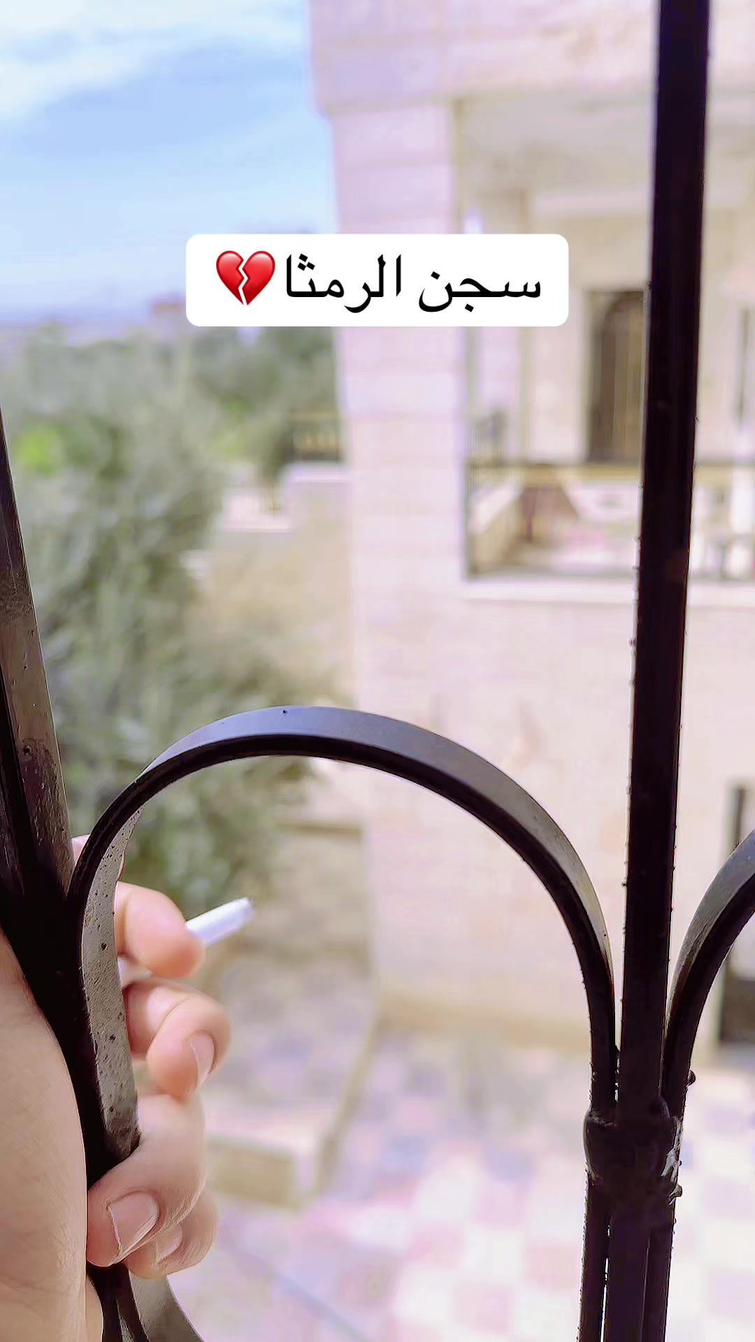 @﮼محمود ﮼الخالد🩵🐅