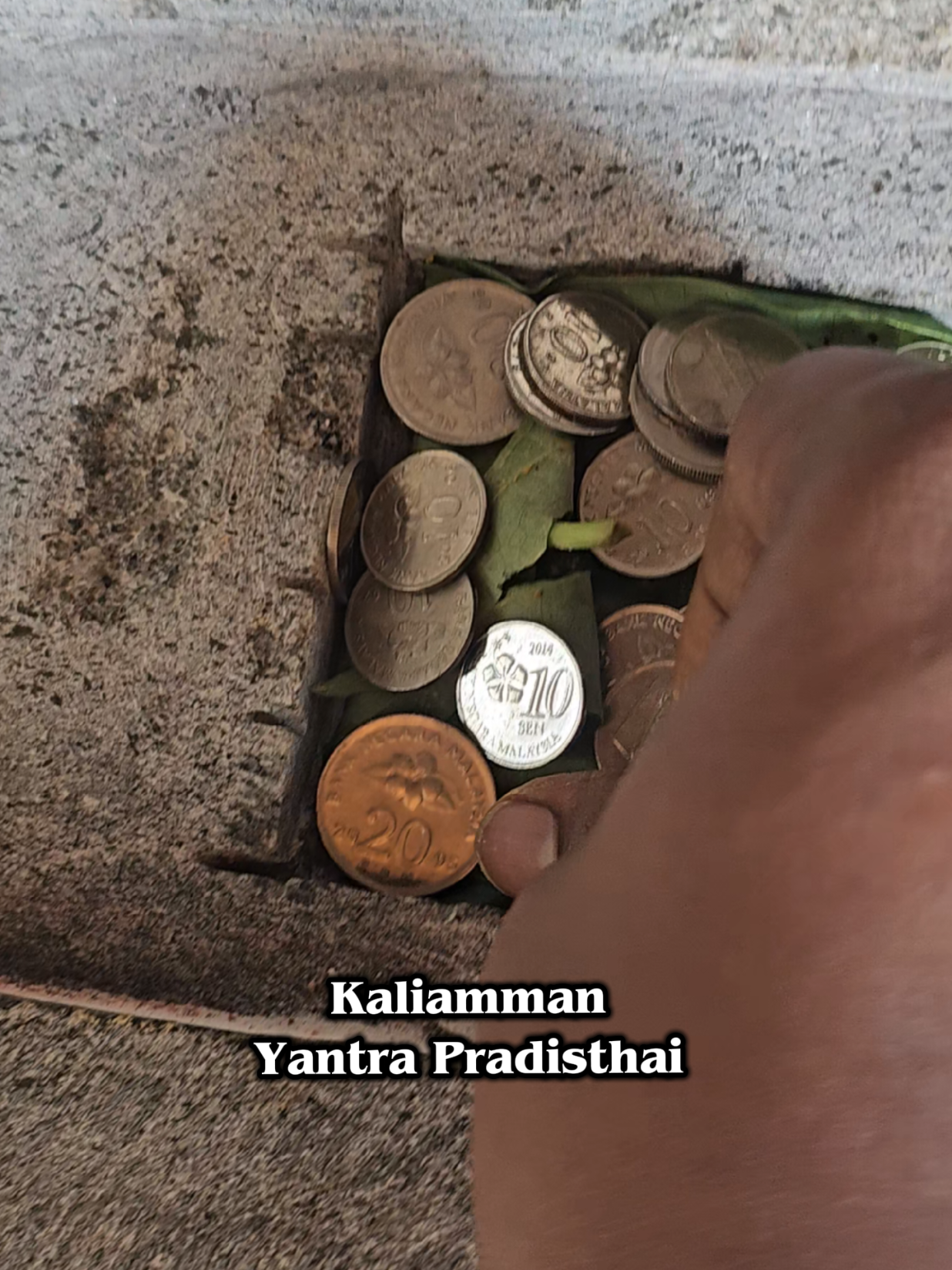 @MayanaMuniappan