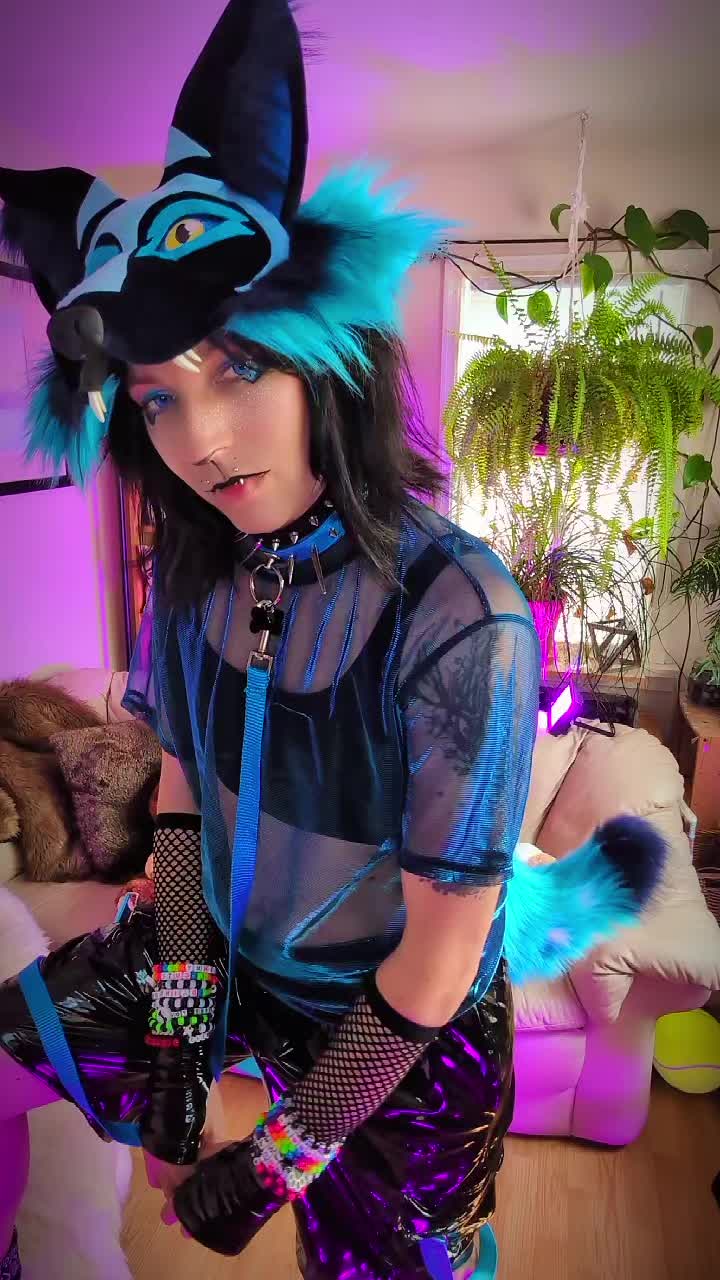@Starlit Wolf