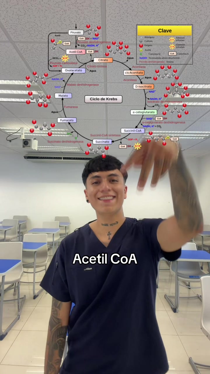 @ENDOBOY