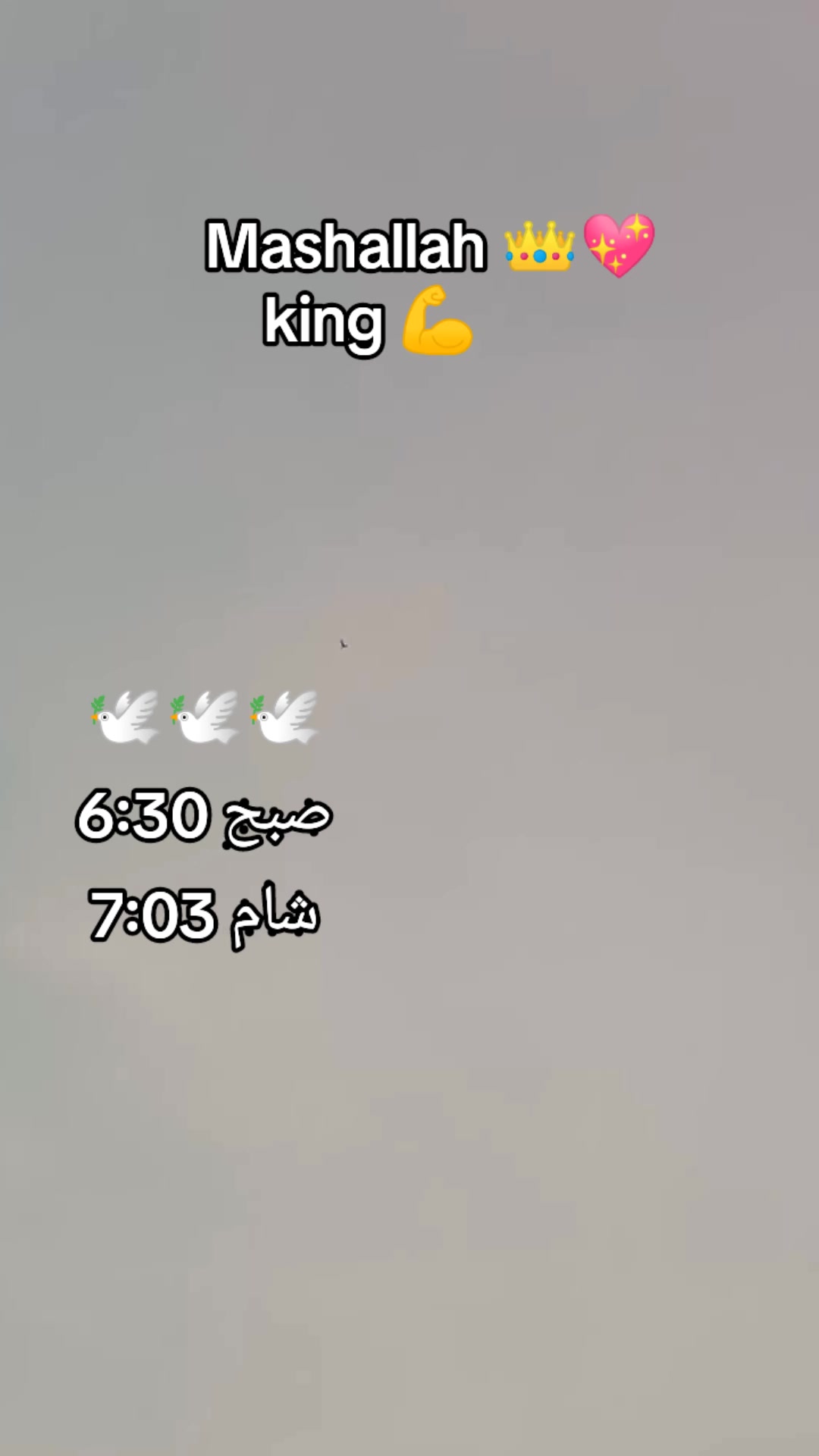 @❝ [ᴀʟɪ ɴ 8221] ❞