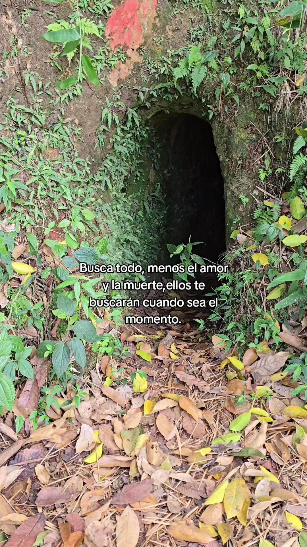 @JuniorManizales
