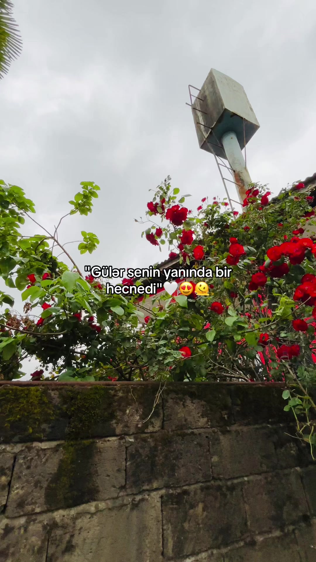 @feyzullayev__42