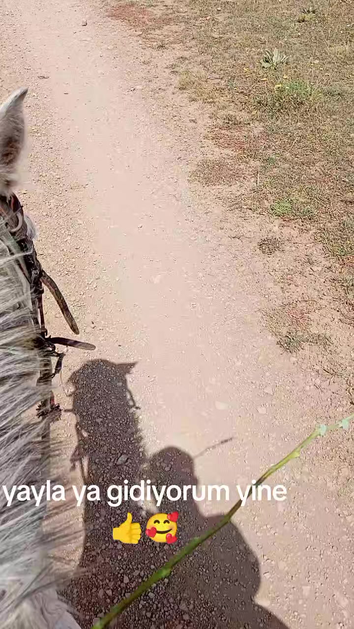 @&ccedil;atlı şaho