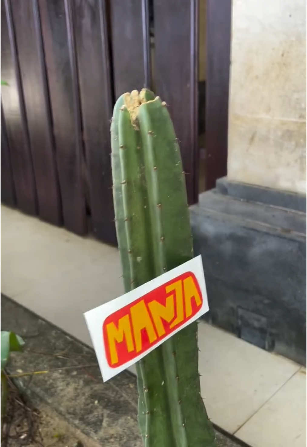 @MANJA