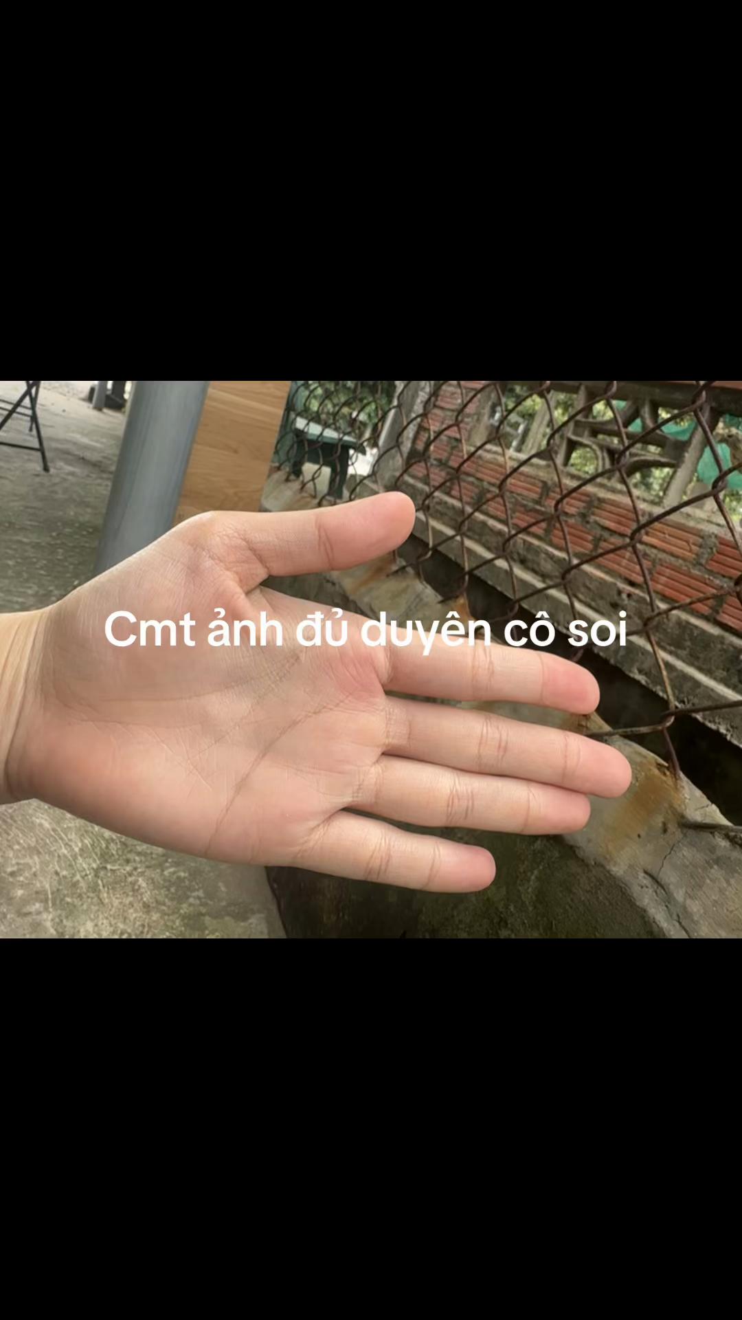 @Xem chỉ tay,tử vi(phí tuỳ tâm)