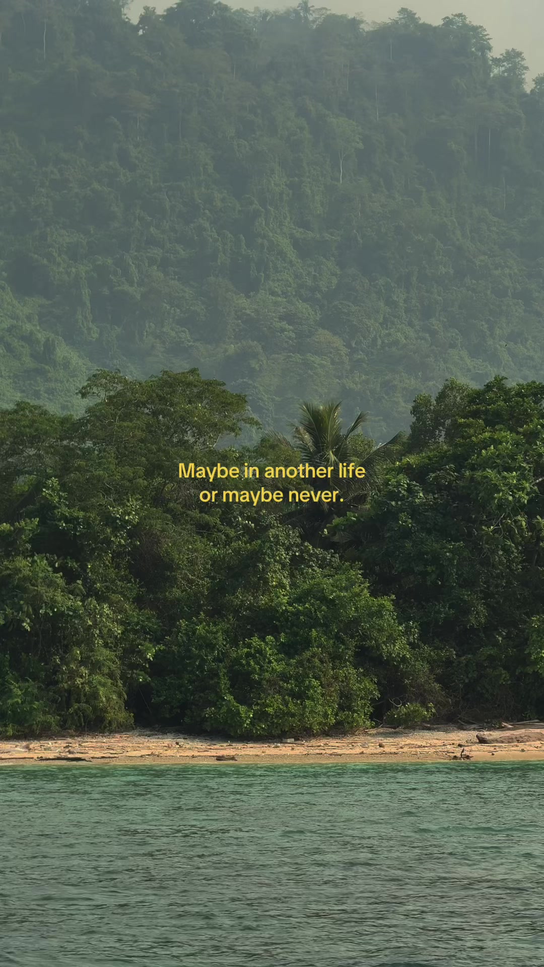 @𝗗𝗶𝗮𝗻𝘆