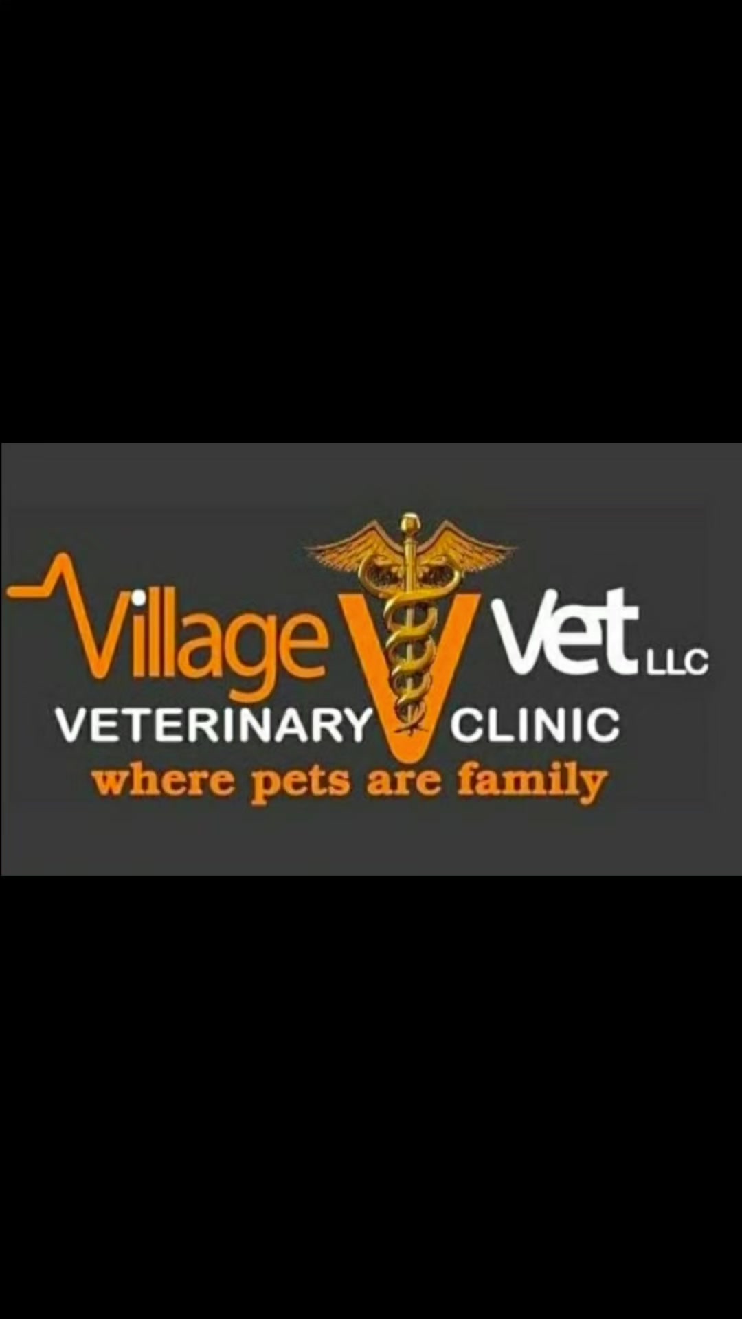 @VillagevVet LLC