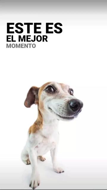 @Musica Indirecta