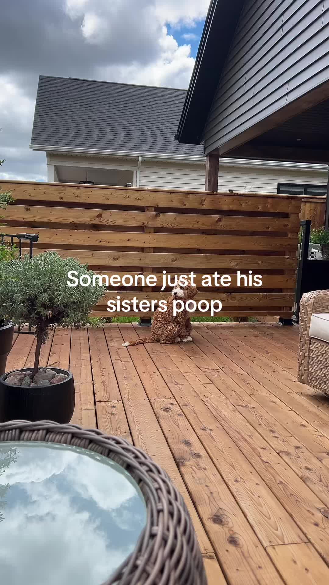 @ashleyardor