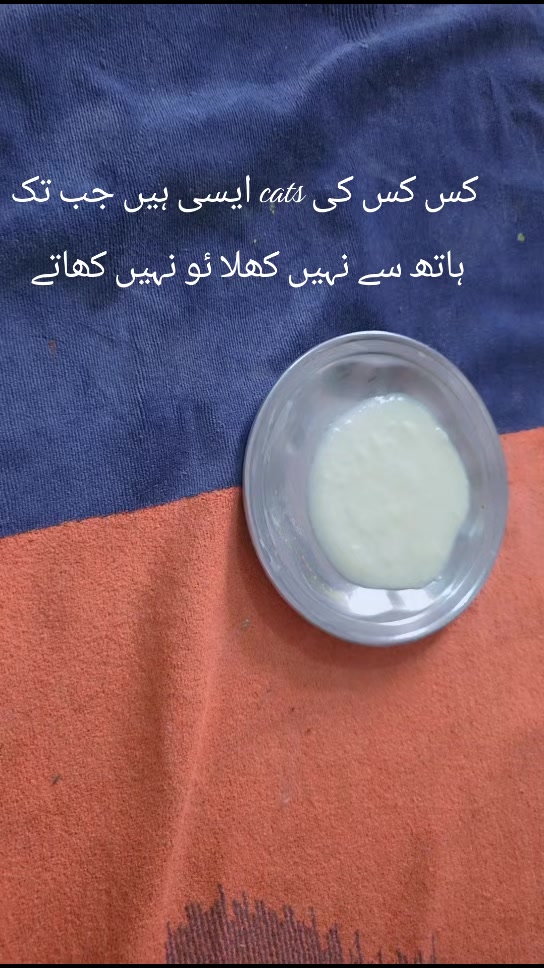@warda