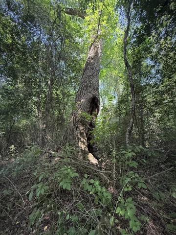 @barcoutdoors
