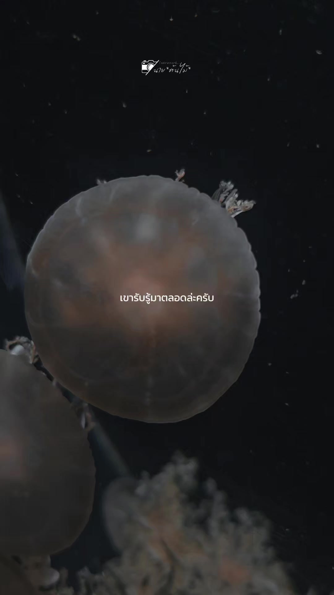 @ขอโทดนะ🙃