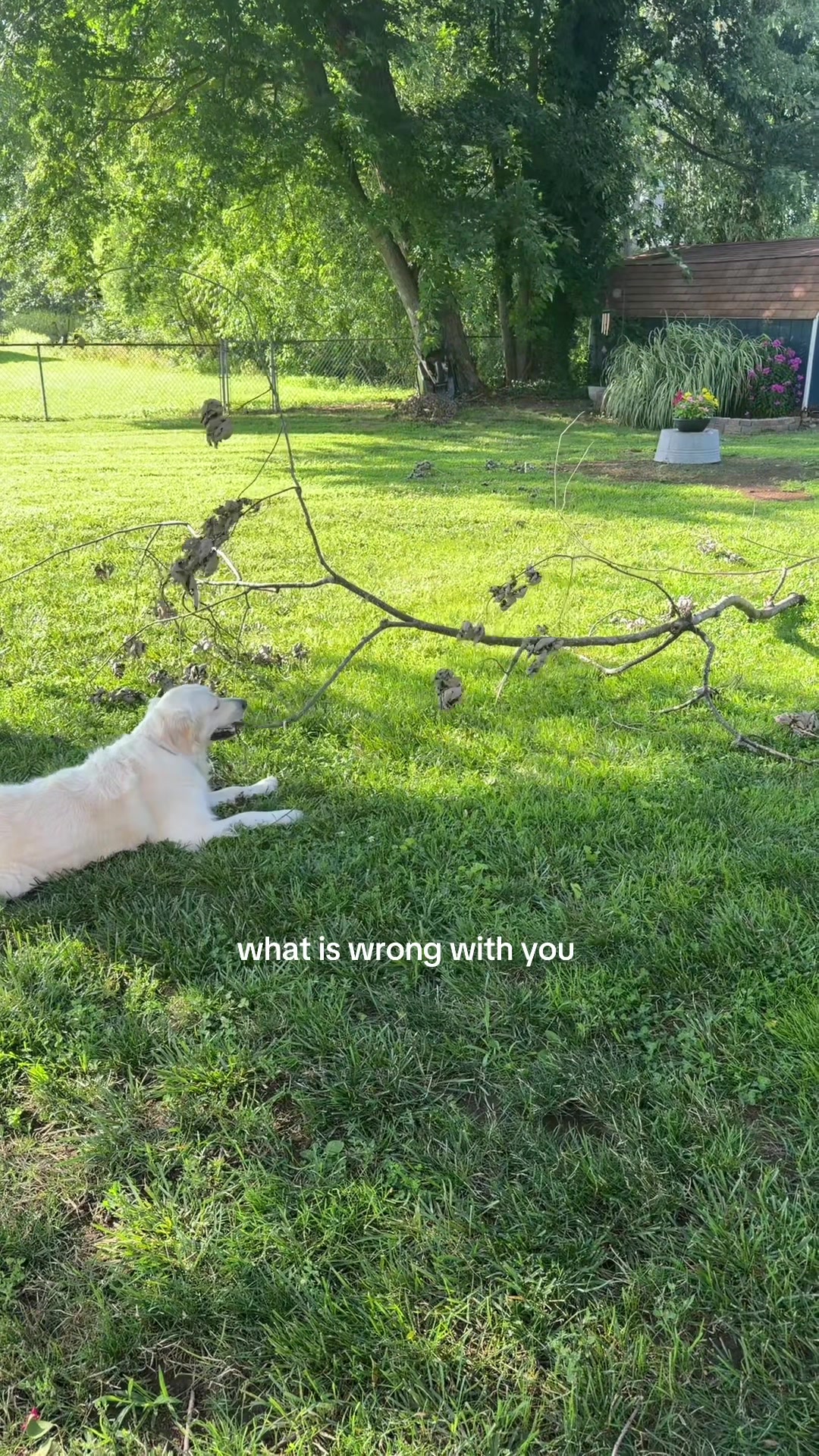 @reagan