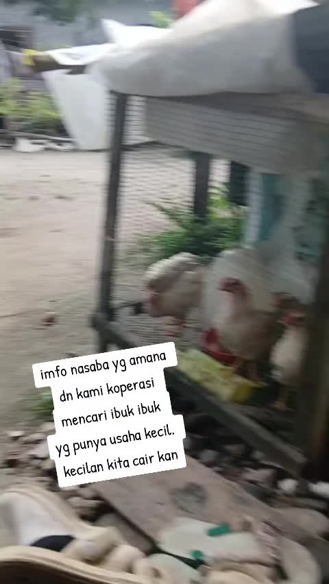 @eva yanti simatupang