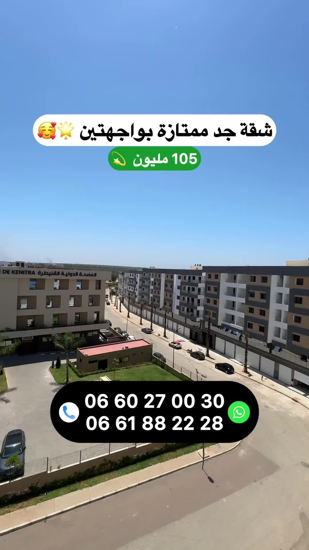 @Zakaria Haddad 🇲🇦🇵🇸