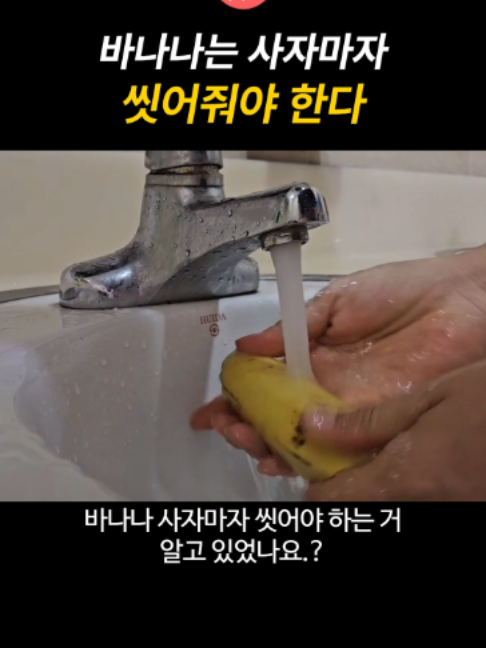 @일요시사