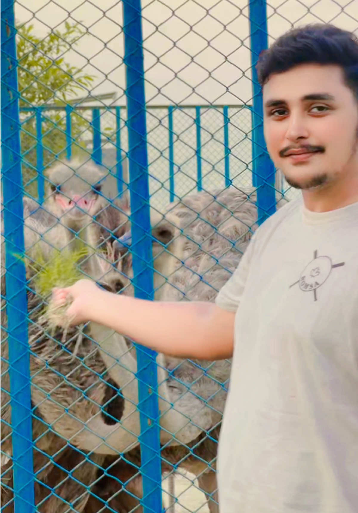 @سبحان شاہ ❤️