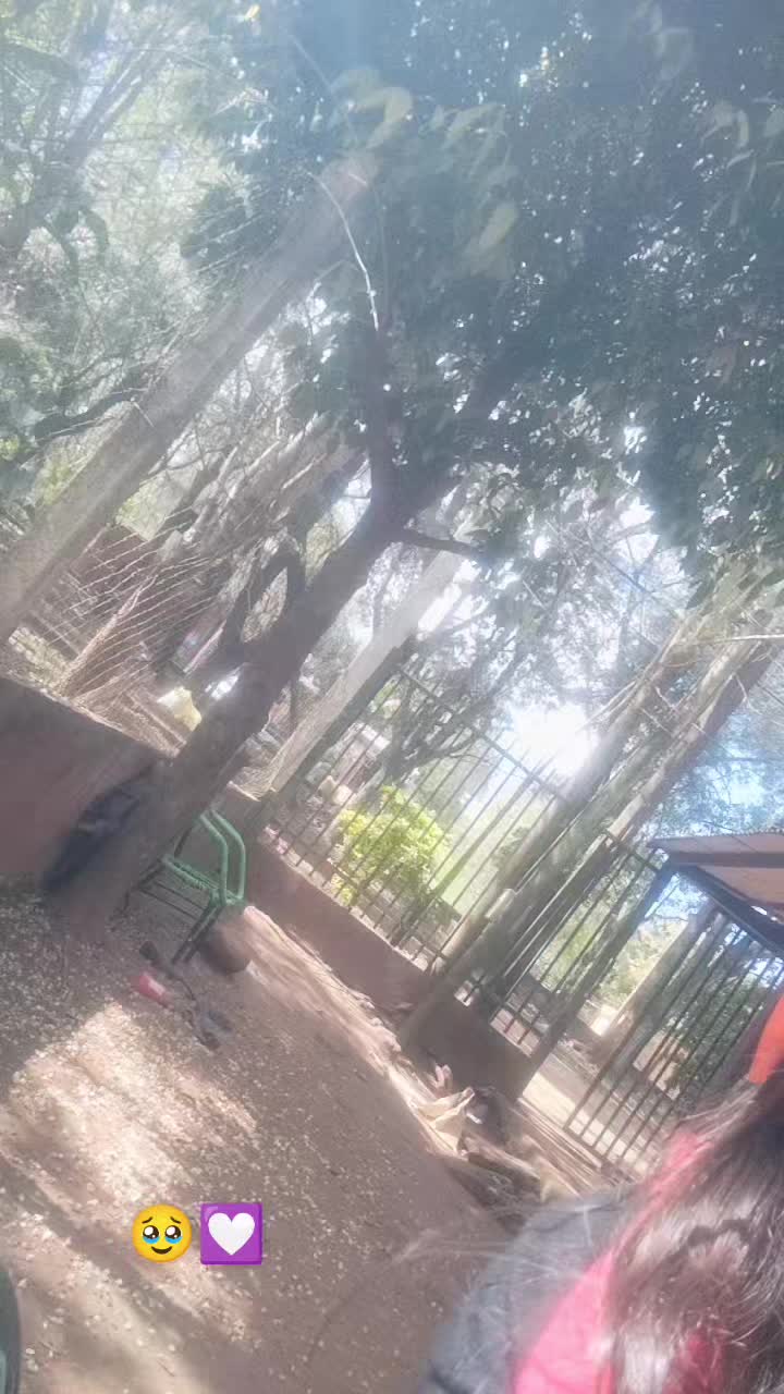 @La t&oacute;xica py😍❤
