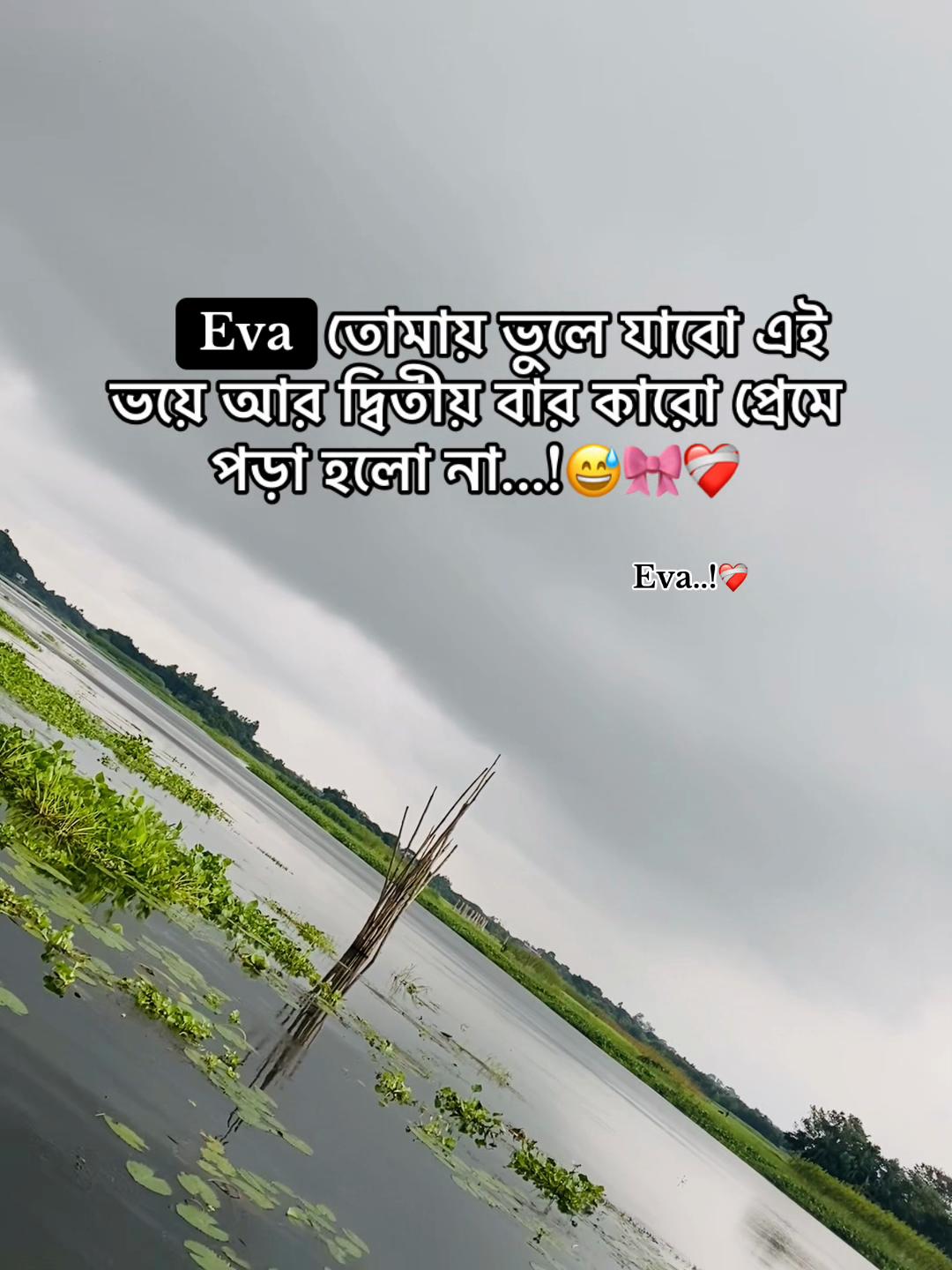 @Ashik