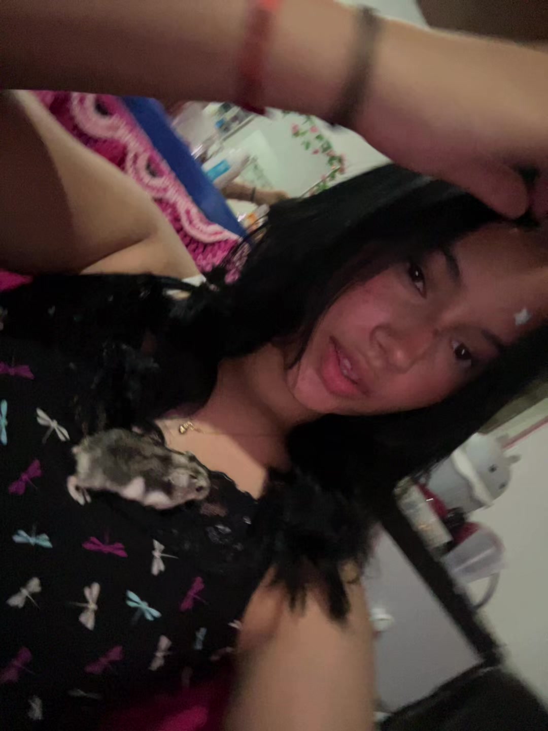 @evellyn_sofhi